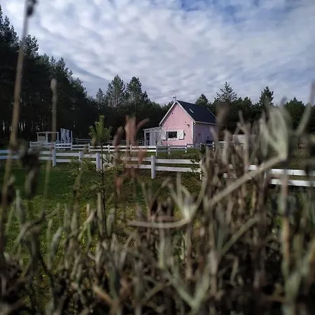 롯지 Bajkowy Rosa Na Kaszubach Grzybowo (Pomerania)
