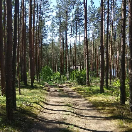 Bajkowy Rosa Na Kaszubach 롯지 *