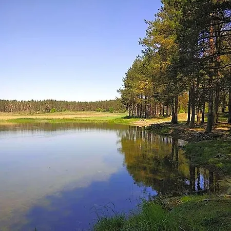 Bajkowy Rosa Na Kaszubach