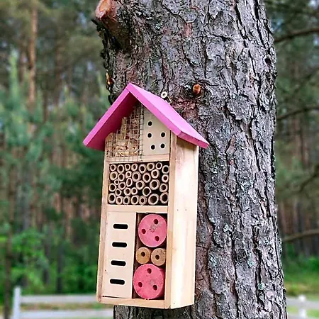 Bajkowy Rosa Na Kaszubach * Grzybowo (Pomerania)