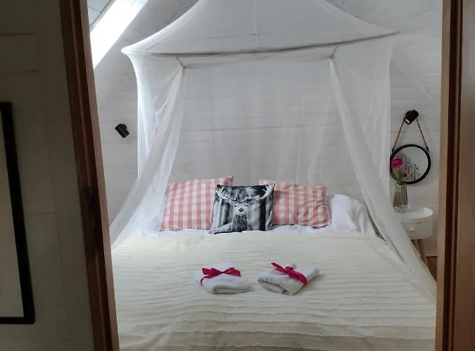 Bajkowy Rosa Na Kaszubach * Bartoszylas