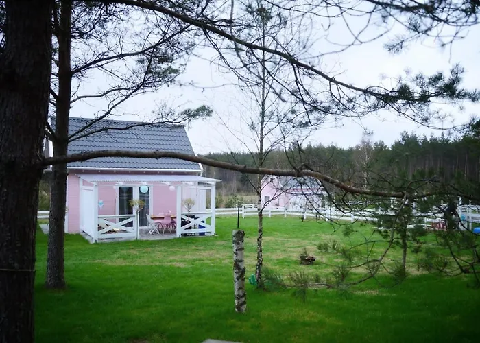 Bajkowy Rosa Na Kaszubach *