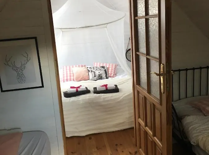 Bajkowy Rosa Na Kaszubach * Bartoszylas