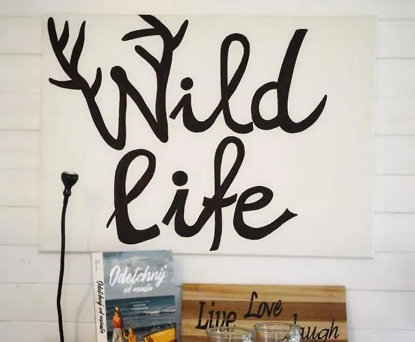 Bajkowy Rosa Na Kaszubach