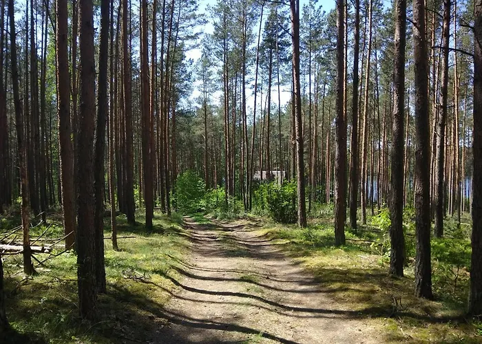 Bajkowy Rosa Na Kaszubach Jaktstuga *